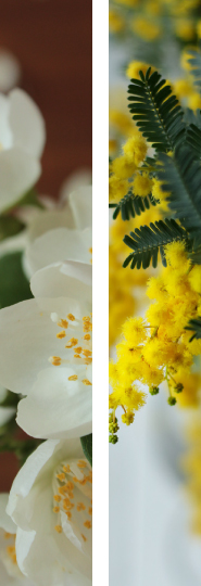 心にしみわたる花